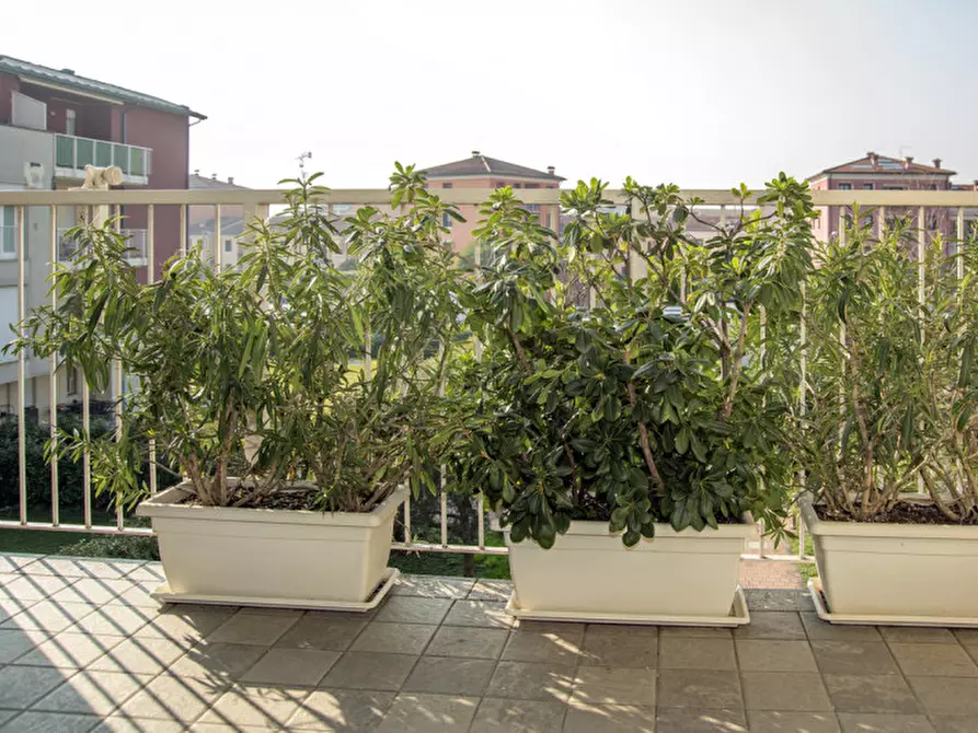 Immagine 20 di Appartamento in vendita  in Piazzale Rita Levi Montalcini a San Martino Buon Albergo