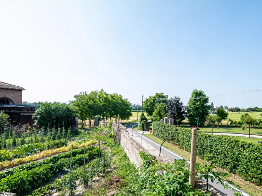 Immagine 27 di Rustico / casale in vendita  in Via Morlungo a Este