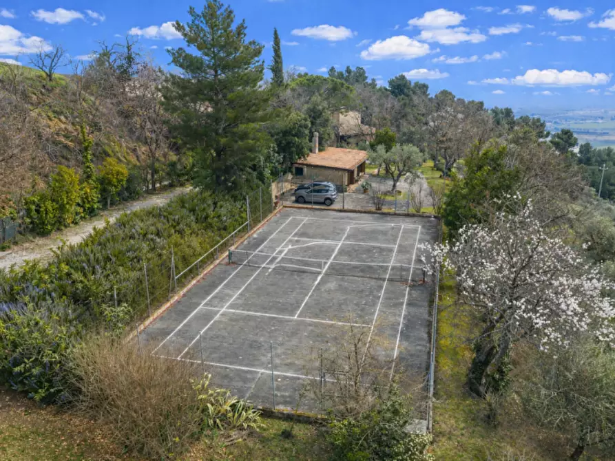 Immagine 5 di Villa in vendita  in Località Rosciano a Fano