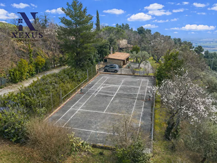 Immagine 6 di Villa in vendita  in Località Rosciano a Fano