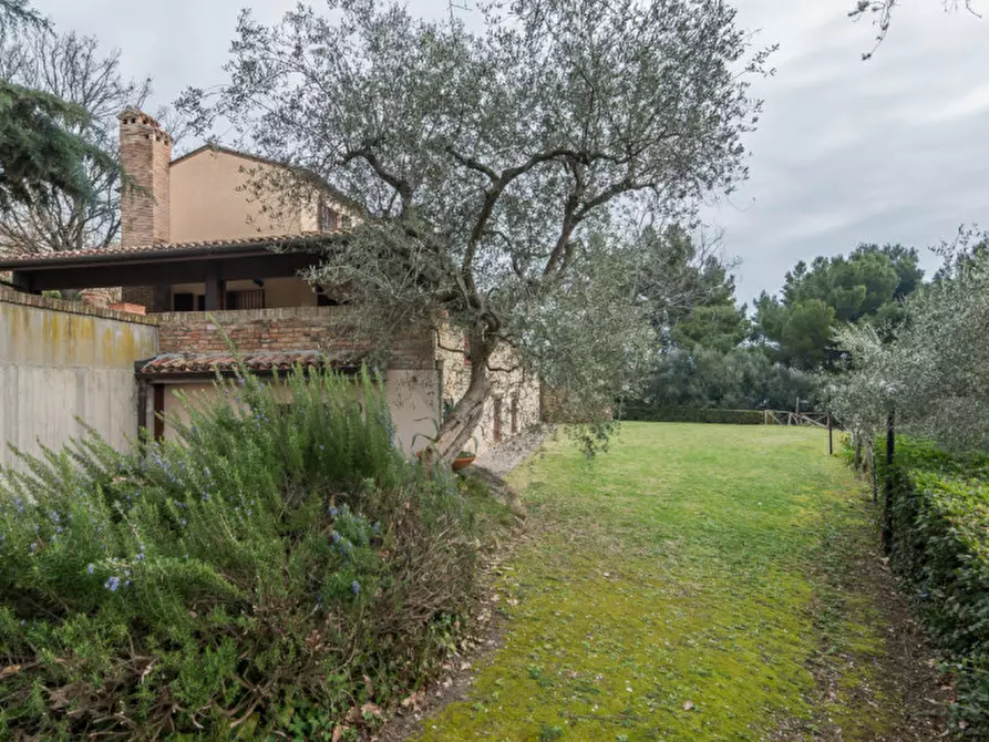 Immagine 17 di Villa in vendita  in Località Rosciano a Fano