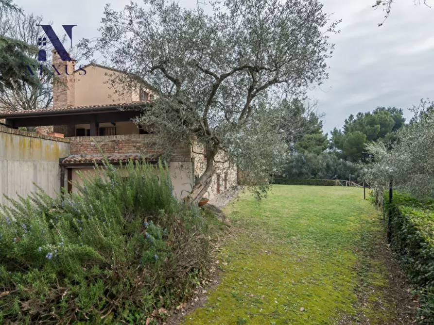 Immagine 19 di Villa in vendita  in Località Rosciano a Fano
