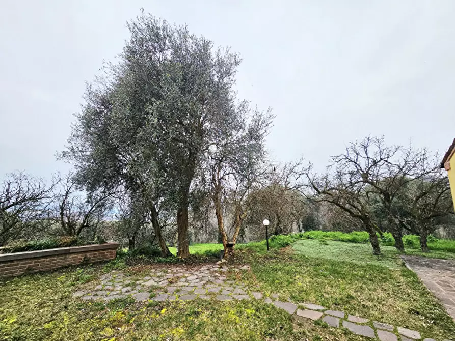 Immagine 17 di Casa indipendente in affitto  in VIA CAPITELLO a Baone