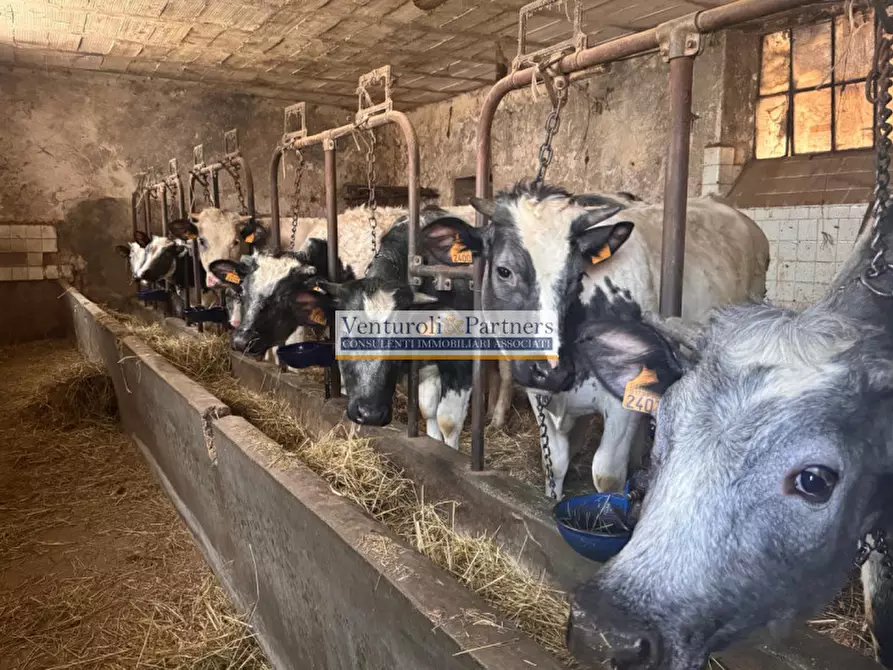 Immagine 11 di Rustico / casale in vendita  in via san biagio a Gavardo