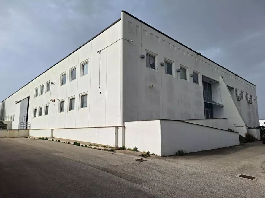 Immagine 6 di Capannone industriale in vendita  in Via A. Olivetti, 29, 70056 Molfetta BA, Italia a Molfetta