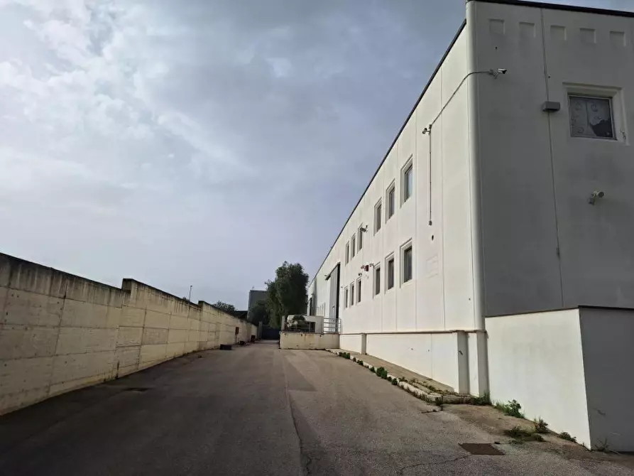 Immagine 7 di Capannone industriale in vendita  in Via A. Olivetti, 29, 70056 Molfetta BA, Italia a Molfetta
