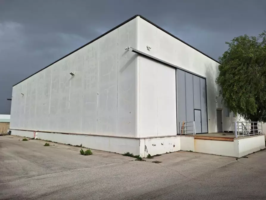 Immagine 9 di Capannone industriale in vendita  in Via A. Olivetti, 29, 70056 Molfetta BA, Italia a Molfetta