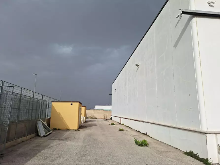 Immagine 10 di Capannone industriale in vendita  in Via A. Olivetti, 29, 70056 Molfetta BA, Italia a Molfetta