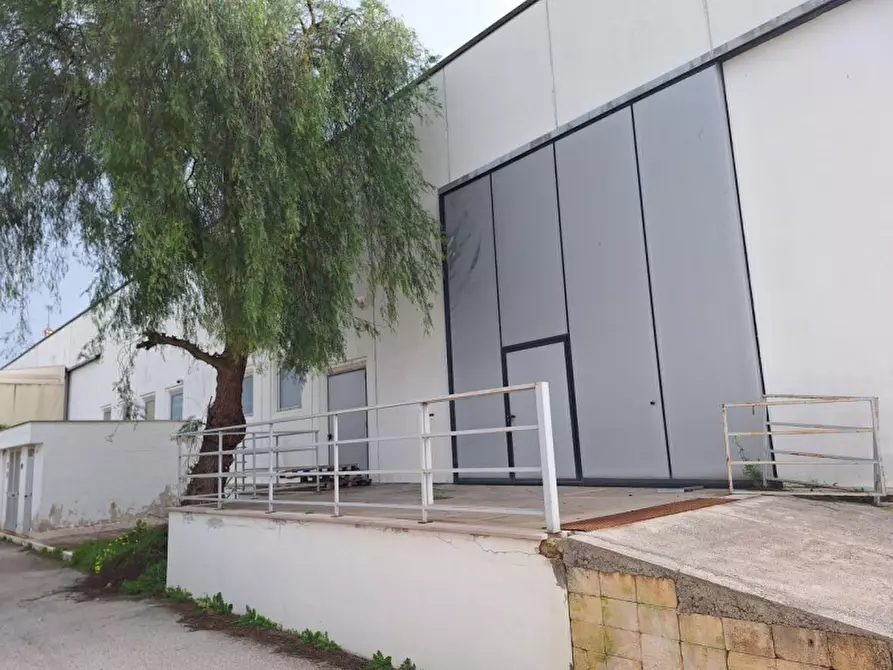 Immagine 15 di Capannone industriale in vendita  in Via A. Olivetti, 29, 70056 Molfetta BA, Italia a Molfetta