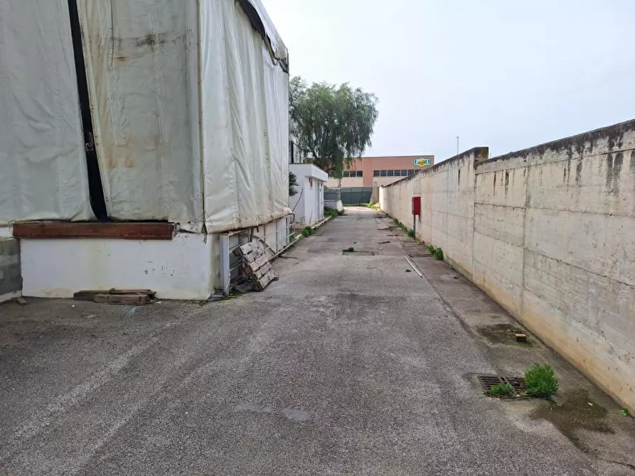 Immagine 19 di Capannone industriale in vendita  in Via A. Olivetti, 29, 70056 Molfetta BA, Italia a Molfetta