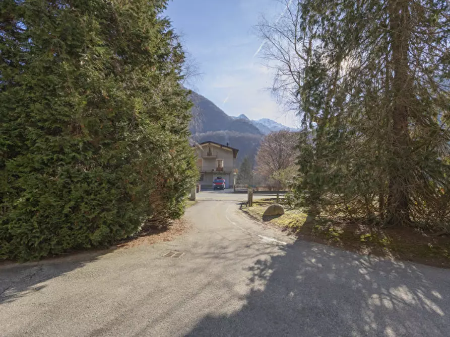 Immagine 17 di Appartamento in vendita  in Strada provinciale per Alagna a Scopa