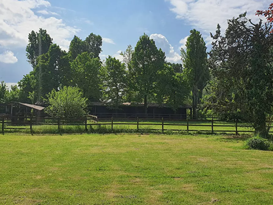 Immagine 28 di Villa in vendita  in Via Andrea Gloria a Teolo