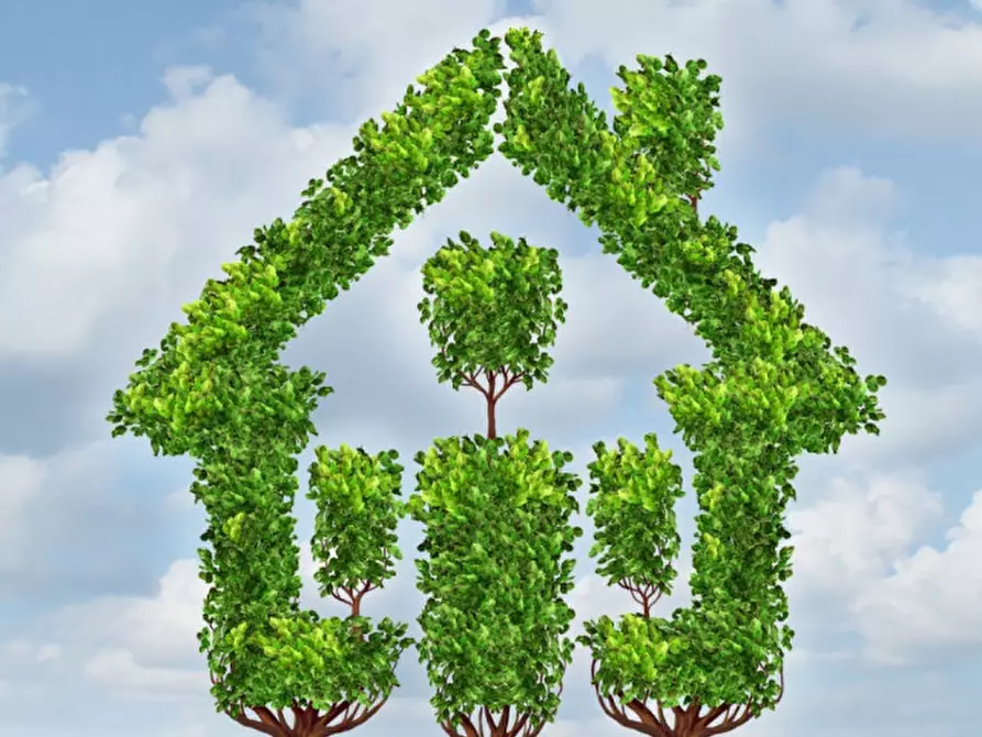 Immagine 3 di Terreno in vendita  in Via petrarca a Carmignano Di Brenta