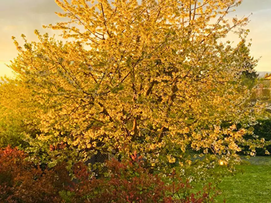 Immagine 6 di Villetta a schiera in vendita  in strada di gogna a Vicenza