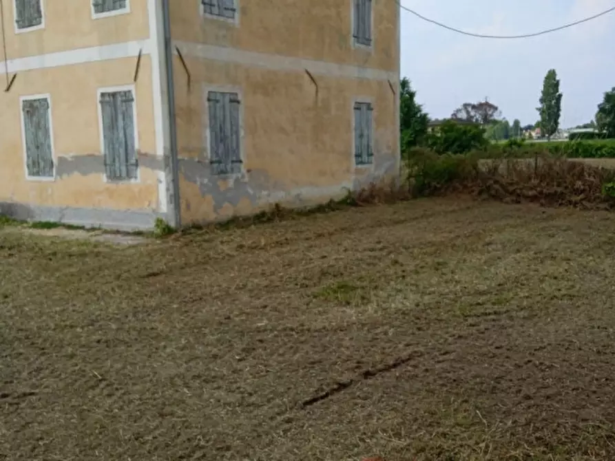 Immagine 4 di Villa in vendita  in Via Ronchi a Loreggia