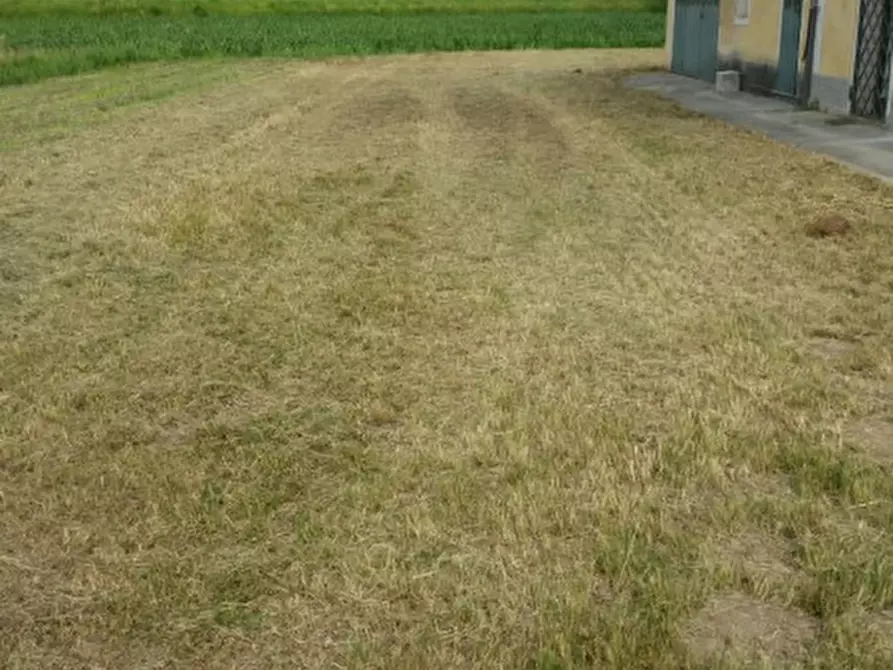 Immagine 10 di Villa in vendita  in Via Ronchi a Loreggia