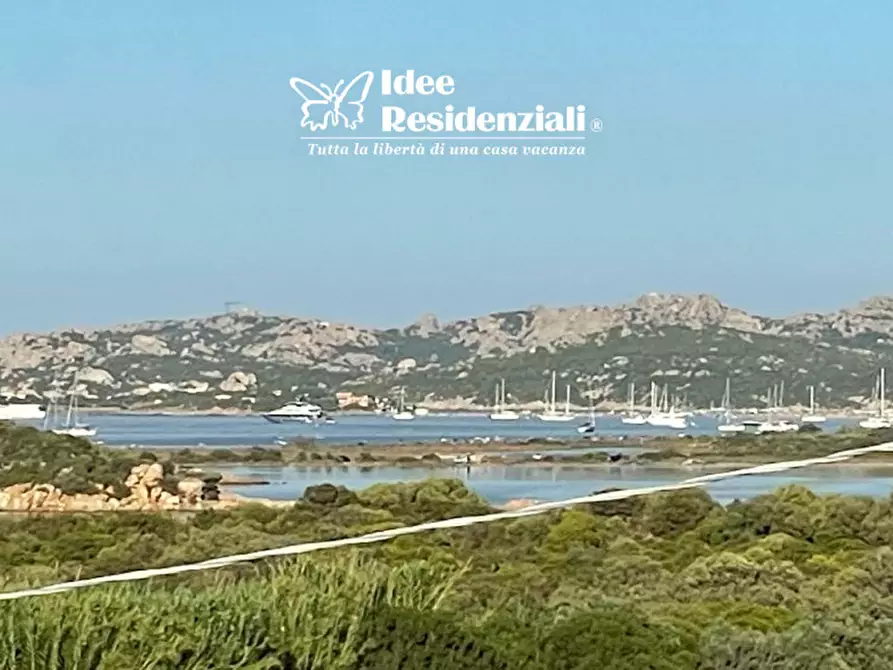 Immagine 17 di Villa in vendita  a Santa Teresa Gallura