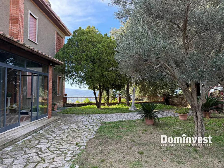 Immagine 1 di Villa in affitto  in via della circonvallazione a Capalbio