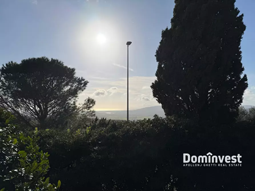 Immagine 21 di Villa in affitto  in via della circonvallazione a Capalbio