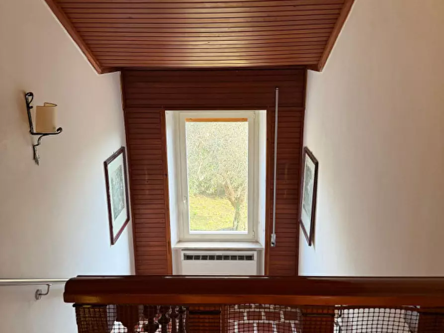 Immagine 22 di Villa in affitto  in via della circonvallazione a Capalbio