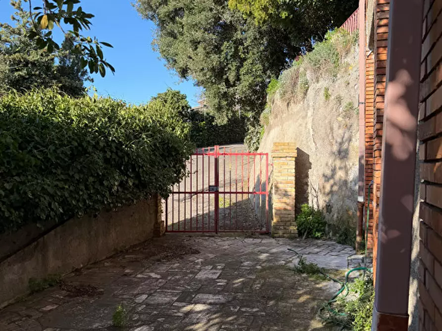 Immagine 23 di Villa in affitto  in via della circonvallazione a Capalbio