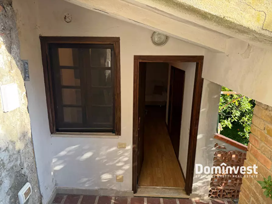 Immagine 30 di Villa in affitto  in via della circonvallazione a Capalbio