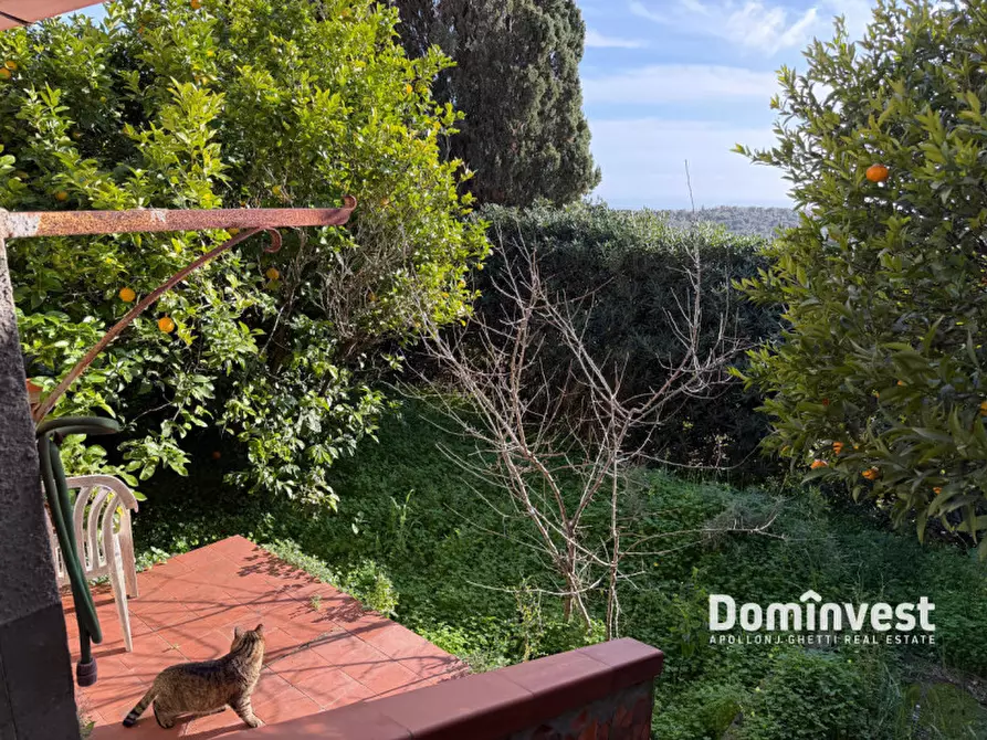 Immagine 33 di Villa in affitto  in via della circonvallazione a Capalbio