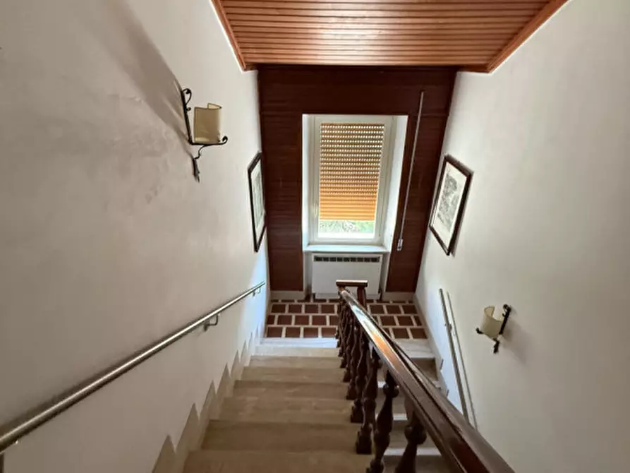 Immagine 44 di Villa in affitto  in via della circonvallazione a Capalbio
