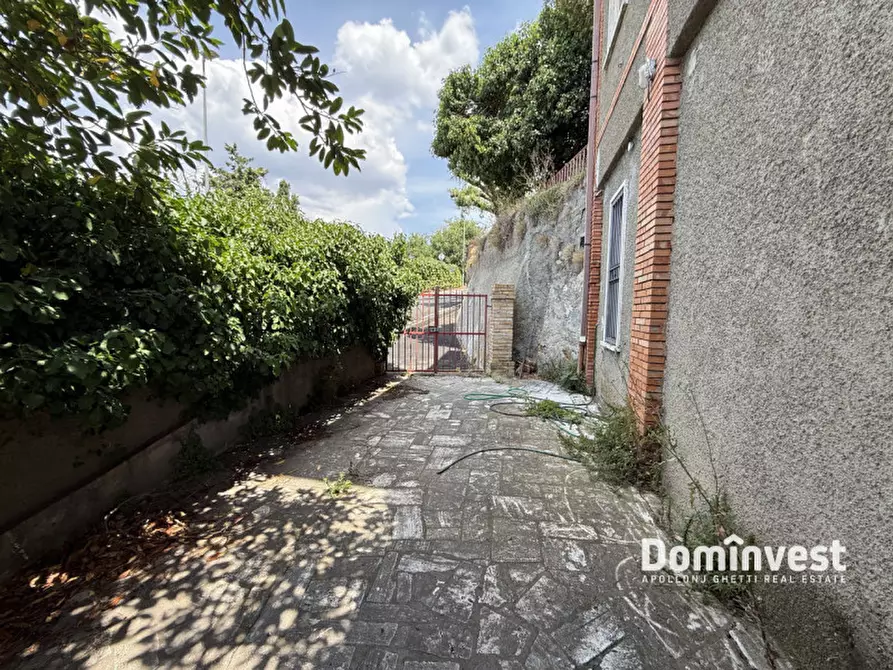 Immagine 59 di Villa in affitto  in via della circonvallazione a Capalbio