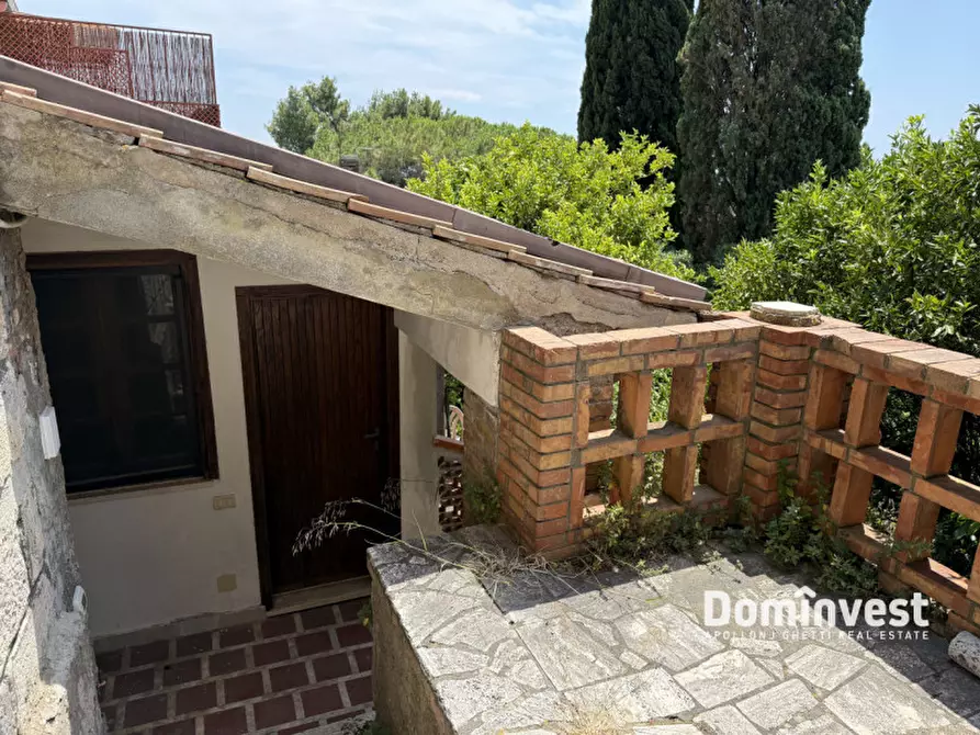 Immagine 60 di Villa in affitto  in via della circonvallazione a Capalbio