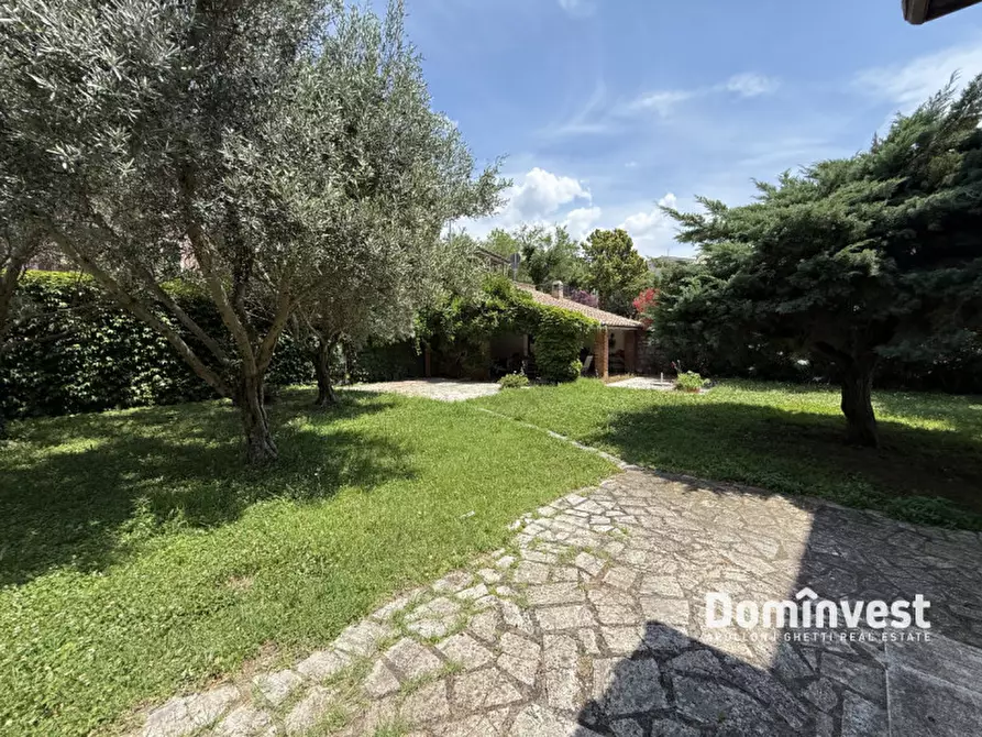 Immagine 66 di Villa in affitto  in via della circonvallazione a Capalbio