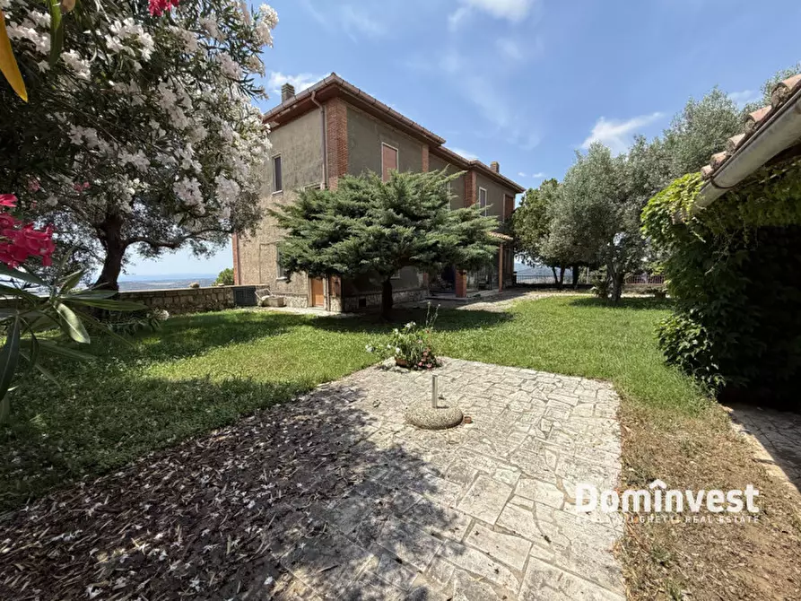 Immagine 68 di Villa in affitto  in via della circonvallazione a Capalbio