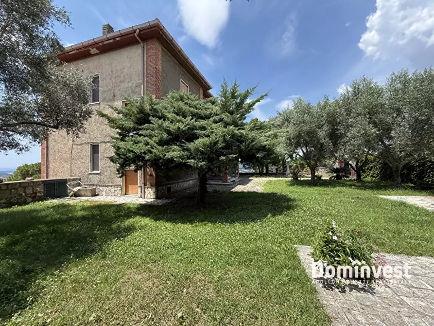 Immagine 69 di Villa in affitto  in via della circonvallazione a Capalbio