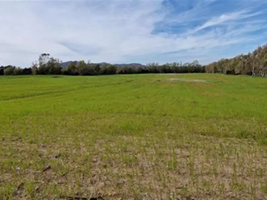 Immagine 2 di Terreno in vendita  a Cittadella