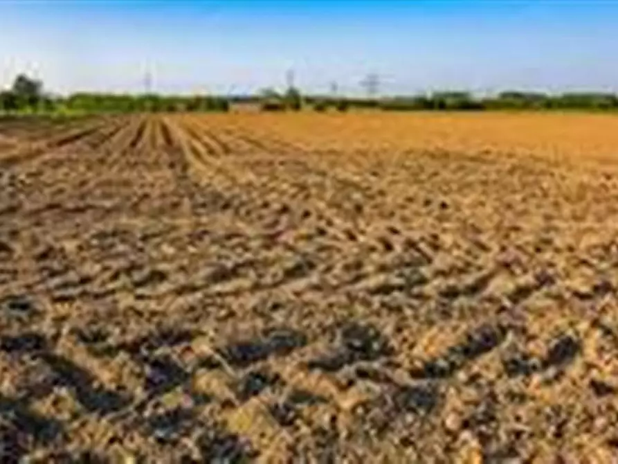 Immagine 5 di Terreno in vendita  a Cittadella