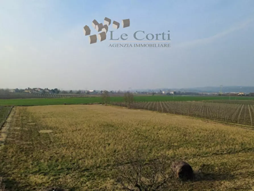 Immagine 2 di Rustico / casale in vendita  a Alonte