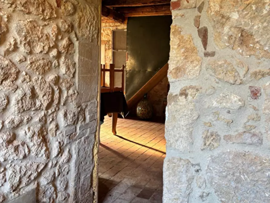 Immagine 7 di Rustico / casale in vendita  a Alonte