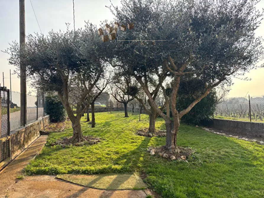 Immagine 12 di Rustico / casale in vendita  a Alonte