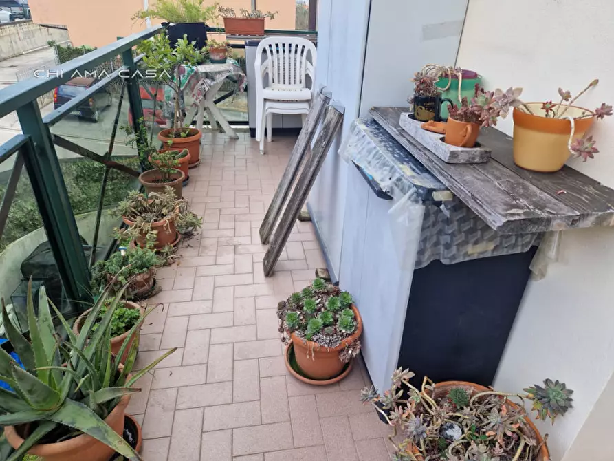Immagine 11 di Appartamento in vendita  in via silvestro betti a Monteciccardo