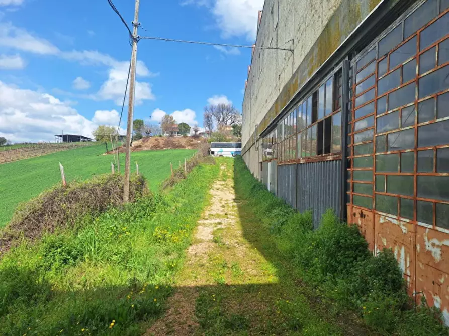 Immagine 2 di Capannone industriale in vendita  in Borgo Santa Lucia, N. SP10 a Morrovalle