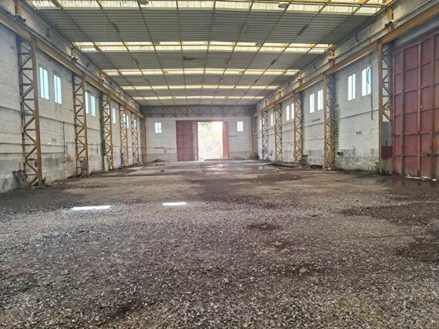 Immagine 4 di Capannone industriale in vendita  in Borgo Santa Lucia, N. SP10 a Morrovalle