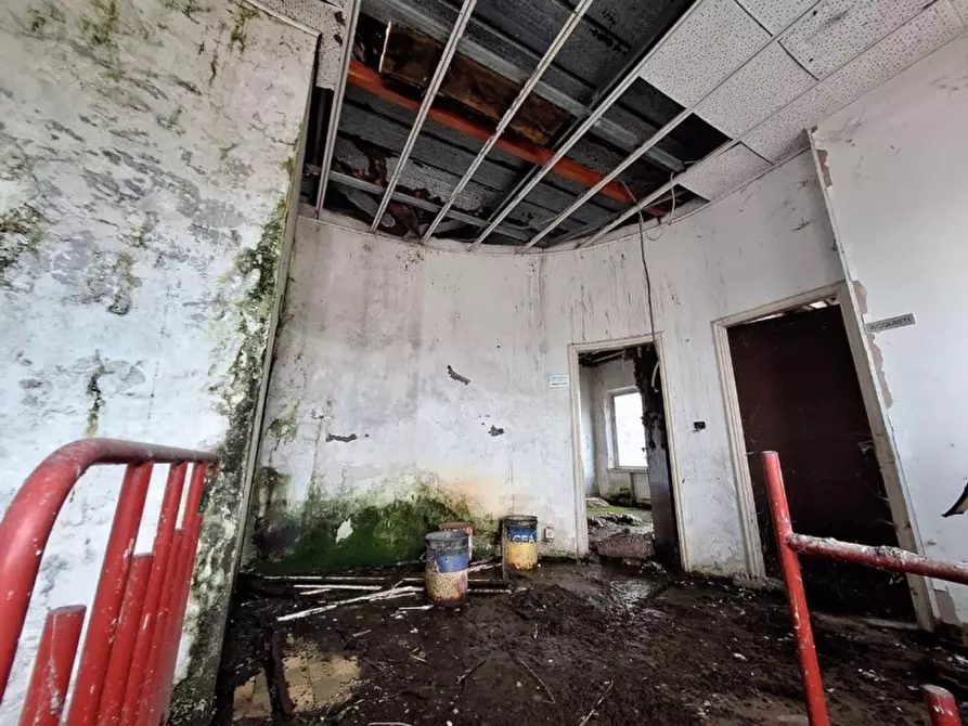 Immagine 6 di Capannone industriale in vendita  in Borgo Santa Lucia, N. SP10 a Morrovalle