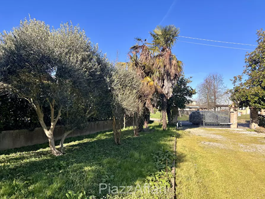 Immagine 5 di Casa indipendente in vendita  in Via San Marco a Codevigo