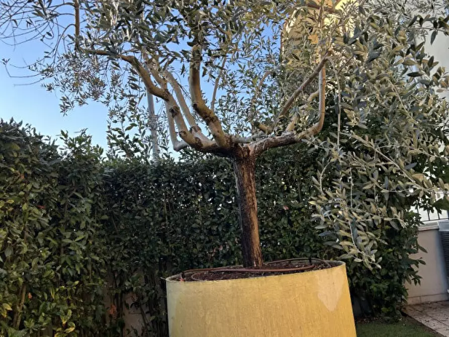 Immagine 39 di Villetta a schiera in vendita  in via Aretina Levanella a Montevarchi