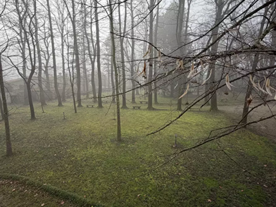 Immagine 10 di Ufficio in affitto  a Noventa Padovana