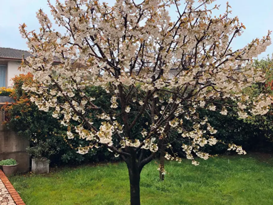 Immagine 7 di Casa bifamiliare in vendita  in Via Grumello a Piovene Rocchette
