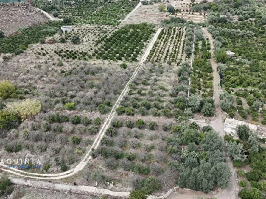 Immagine 1 di Terreno in vendita  in c.da Xirumi snc / a Lentini
