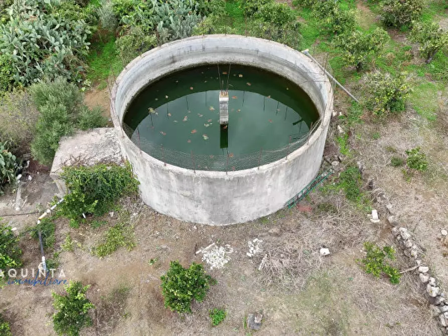 Immagine 4 di Terreno in vendita  in c.da Xirumi snc / a Lentini