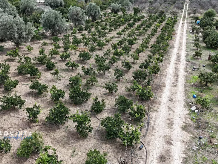 Immagine 5 di Terreno in vendita  in c.da Xirumi snc / a Lentini