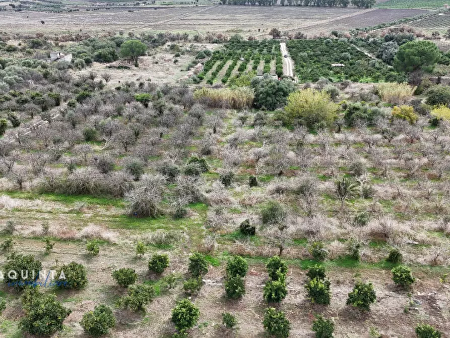 Immagine 6 di Terreno in vendita  in c.da Xirumi snc / a Lentini
